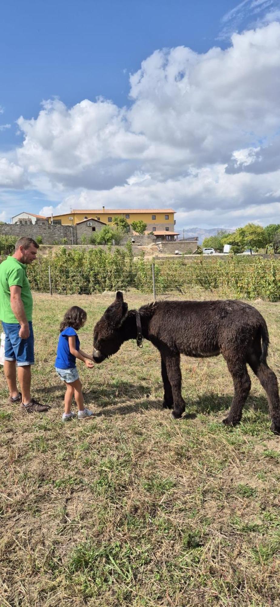 Quinta Do Limite - Covilhã