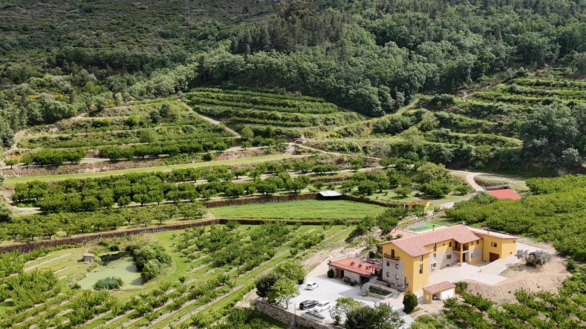 Quinta Do Limite - Séjour à la ferme Covilhã